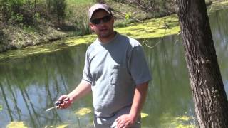 DIY Pond Aerator Using Septic Pump [upl. by Jeremie]