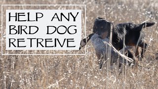 How To Train A Bird Dog That Won’t Retrieve  YAWA Dog Training Podcast Episode 39 Question 4 [upl. by Leidgam]