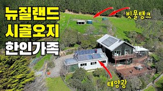 이민와서 전기 없고 수도 없고 위성 인터넷 땡겨쓰는 시골로 들어온 한인가족 I 철판대왕비빔밥 스타링크 Starlink [upl. by Hanid]