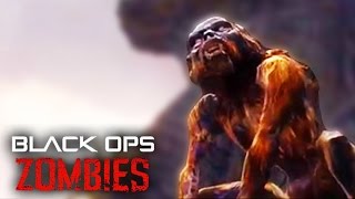 NEW UNSEEN EASTER EGG IN BLACK OPS ZOMBIES quotSHANGRILAquot EXPLODING MONKEY EASTER EGG [upl. by Atteuqahc]