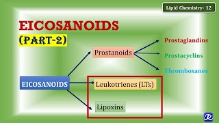 12 Eicosanoids part 2 Leukotrienes Lipoxins  Lipid Chemistry12  Biochemistry [upl. by Orelee]