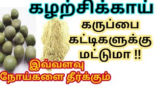 கழற்சிக்காயின் வியக்கும் நன்மைகள்  Kalarchikai benefits in tamil கழற்சிக்காய் மருத்துவ பயன்கள் [upl. by Esinek140]