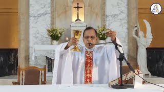 Catholic Mass Today Monday 23 May 2022 [upl. by Ecerahs]