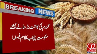 Punjab Govt Takes a Major Initiative Regarding Wheat Production  Latest Breaking  92NewsHD [upl. by Ollie]