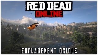 RED DEAD ONLINE  EMPLACEMENT ORIOLE [upl. by Hussein]