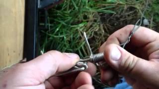 How to set Trapline Mole Traps [upl. by Ahsial]