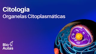 Citoplasma e Organelas Citoplasmáticas  CitologiaBiologia Celular Bio Aulas [upl. by Rilda]