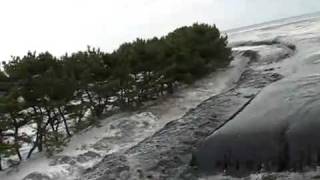 Japan Tsunami 2011  One Brave Soul [upl. by Notserc]