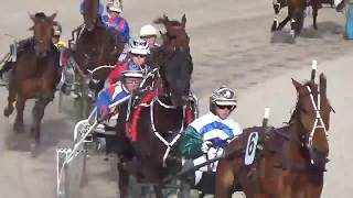 Standardbred Pacing [upl. by Schmitz]