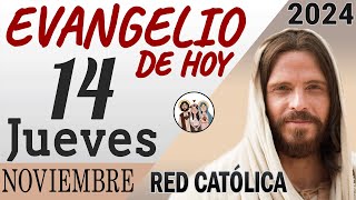 Evangelio de Hoy Jueves 14 de Noviembre de 2024  REFLEXIÓN  Red Catolica [upl. by Annoyt]