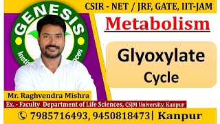 Glyoxylate Cycle  Metabolism CSIR NETJRF  GATE  Life science  biotechnology  ICMR [upl. by Bac]