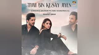 Tum Bin Kesay Jiyen Full Ost  Raafay Israr [upl. by Mateusz390]