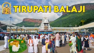 Tirupati Balaji Temple Darshan  तिरुपति बालाजी  Tirupati Balaji Tour Guide Vlog  Tirumala Temple [upl. by Ahsas219]