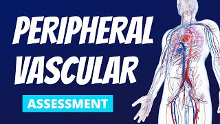 Peripheral Vascular Extremities Focused Nursing Assessment  The Most Common Findings [upl. by Atnes114]