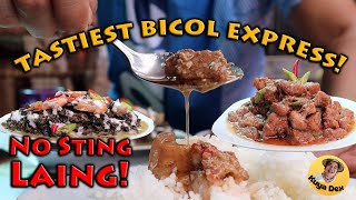 Best Bicol Express and Laing Recipe HD [upl. by Nawak696]