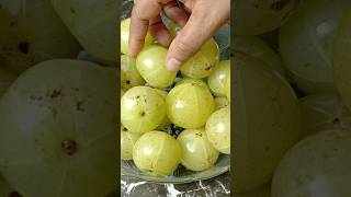 Benefits of Amla shorts amla recipe [upl. by Wolbrom123]