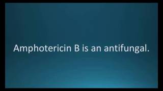 How to pronounce amphotericin B Fungizone Memorizing Pharmacology Flashcard [upl. by Nohsar409]