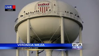 Many in community questioning large amount of vultures on Tupelo water tower [upl. by Idalia]