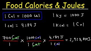 Joules Food Calories amp Kilojoules  Unit Conversion With Heat Energy  Physics Problems [upl. by Kieger]