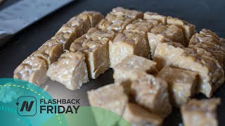 Flashback Friday Fermented or Unfermented Soy Foods for Prostate Cancer Prevention [upl. by Erlin866]