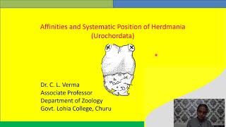 Affinities and Systemic Position of Urochordata [upl. by Norramic]