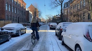 Copenhagen keeps cycling despite heavy snow  AFP [upl. by Mord]