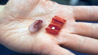 INGESTIBLE ROBOTS [upl. by Zebadiah]