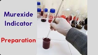 Preparation of Murexide indicator Ammonium purpurate indicator [upl. by Bergh]