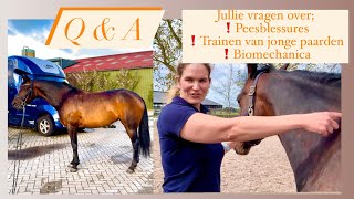 QampA MET PAARDENDIERENARTS AMBER KOPPEN 🔥  FLO WORDT BEHANDELD 😱VOG75 [upl. by Eciened719]