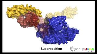 Risk of protein aggregation in the cytosolChaperones functionHeat shock proteinsHSP70 amp 60GroEL [upl. by Bourque]