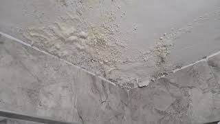 Duvardaki rutubet nem kabarıklık nasıl engelleriz How can prevent dampness and swelling on the wall [upl. by Clite]