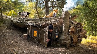 Building a Secret Shelter Under a Fallen Tree for Survival  Tamed a wild fox [upl. by Honebein]