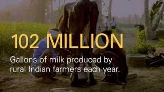 Promethean Power Systems works to Reduce Milk Spoilage at Rural Dairy Farms in India [upl. by Saffren758]