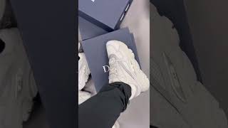 I Bought The NEW Dior B22 Sneakers [upl. by Yrocaj]