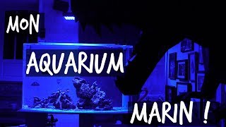 MON NOUVEL AQUARIUM DEAU DE MER   TOOPET [upl. by Cassondra888]