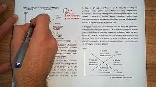 74 ETÜT  9 SWAN DİYAGRAMI  II Dengesizlikler ve Politika Karmaları [upl. by Orin]