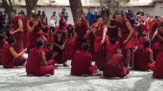 tibetan monks debate [upl. by Lyrrad]