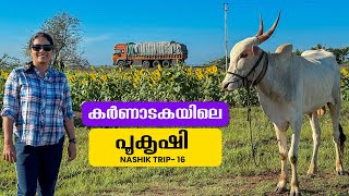 Karnatakas flower farms and wheat puttu for breakfast  Nashik Trip  EP  16  Jelaja Ratheesh [upl. by Anaiek]