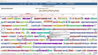 Genome Browser [upl. by Monda541]