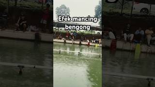 Keseruan pemancingan bekang cibarusah 😬 [upl. by Benjy]