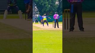 Malaysia cricket stadium cricketfever cricketlover youtubeshorts [upl. by Ahsimal985]