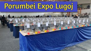 Expozitia de pasari si animale mici Lugoj  part 1 [upl. by Adnyleb112]