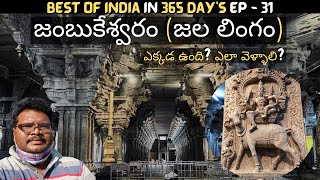 Jambukeshwara temple full tour in telugu  Jambukeshwaram temple information  Tamilnadu [upl. by Alaek]