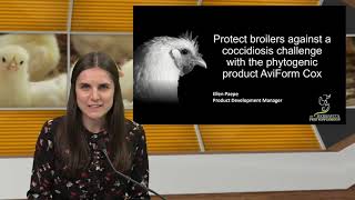 Webinar Poultry World Protect broilers against a coccidiosis challenge with AviForm Cox [upl. by Seni]