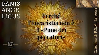 Panis Angelicus Perché lEucaristia non è «il Pane dei peccatori» [upl. by Martin]