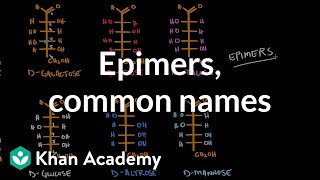 Carbohydrates  Epimers common names  Chemical processes  MCAT  Khan Academy [upl. by Afinom]