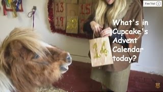 Whats in Cupcakes Advent Calendar today TV Episode 104 [upl. by Eillas288]