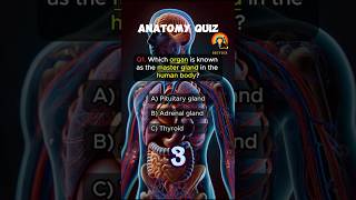 Anatomy and physiology Quiz challenge part 271shorts quiz [upl. by Theran]