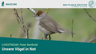 Livestream Peter Berthold quotUnsere Vögel in Notquot [upl. by Rettke403]