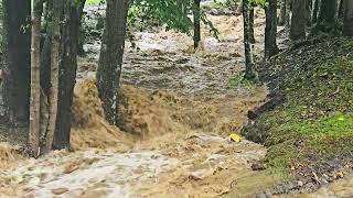 Hurricane Helene in Cane Creek North Carolina  from creek to river [upl. by Glover]